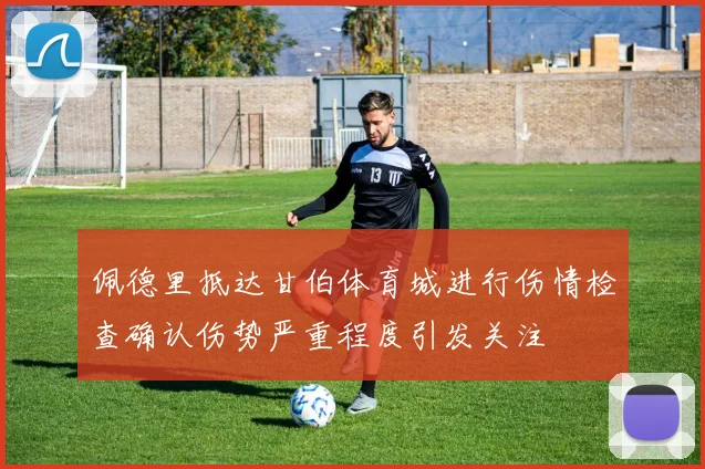 佩德里抵达甘伯体育城进行伤情检查确认伤势严重程度引发关注